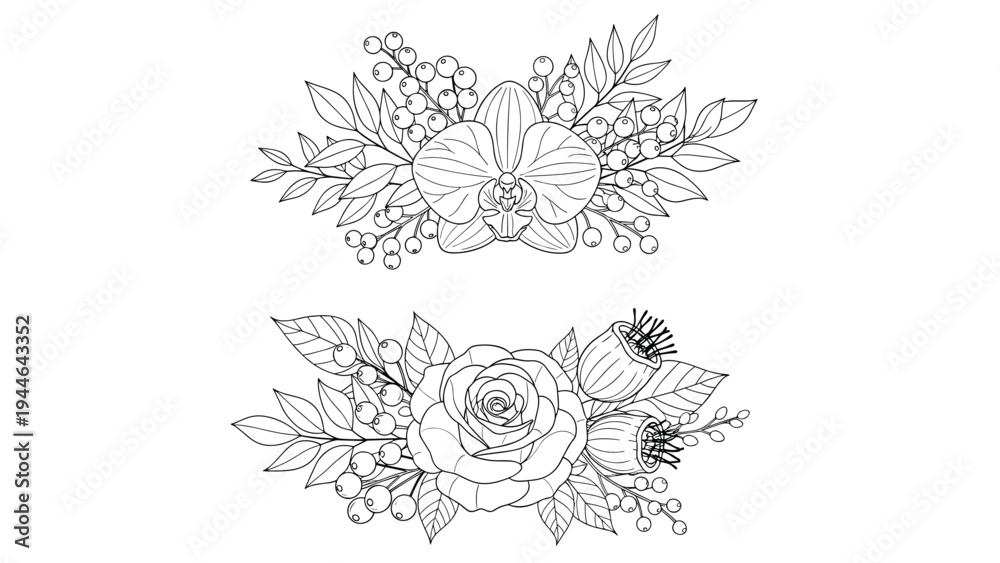 Obraz premium Two beautiful floral compositions feature orchids and roses in a minimalist line art style that is perfect for elegant graphic designs.