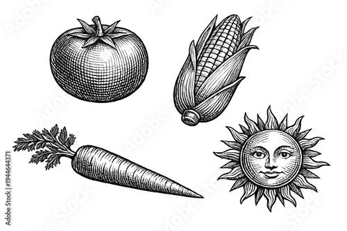 A collection of vintage woodcut style illustrations featuring a tomato, an ear of corn, a carrot, and a sun with a human face, all set against a solid black background.