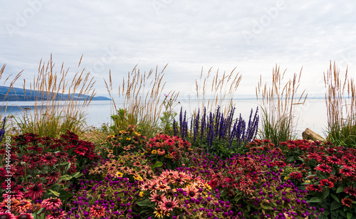 wunderschöne bunte Blumen und Gräser vor Meer, Fluss, Wasser, der Kai von La Malbaie, früher La Malbaie–Pointe-au-Pic, am Nordufer des Sankt-Lorenz-Strom in der Provinz Québec, MRC Charlevoix-Est