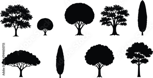 Black tree silhouettes collection, diverse species shapes, coniferous deciduous broadleaf trees, nature illustration, botanical diversity, landscape design, environmental concept, educational graphic