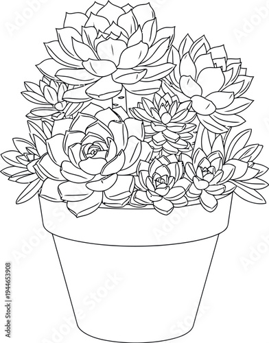 Detailed black and white outline drawing of a lovely potted succulent arrangement perfect for coloring activities or design projects.
