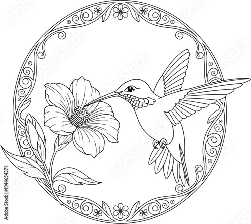 Detailed black and white line art illustration featuring a graceful hummingbird delicately feeding from a beautiful flower, all meticulously enclosed within an elegant decorative circular frame.