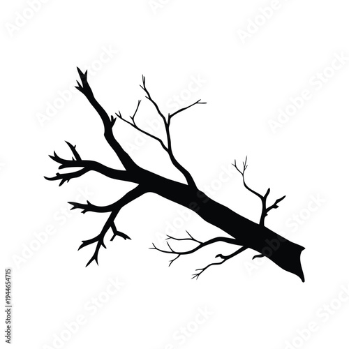 dead birch branch silhouette vector illustration, black and white tree branch silhouette vector illustration with detailed intricate design