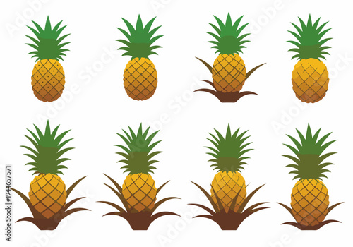 Collection of flat design pineapple vector illustrations, featuring fruits isolated and growing in stylized plants.