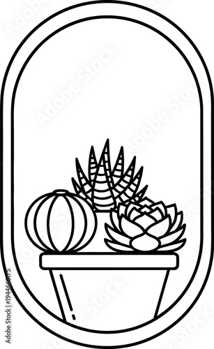 Minimalist outline drawing depicts a collection of three distinct succulent plants contained within a stylish elongated oval planter frame design.