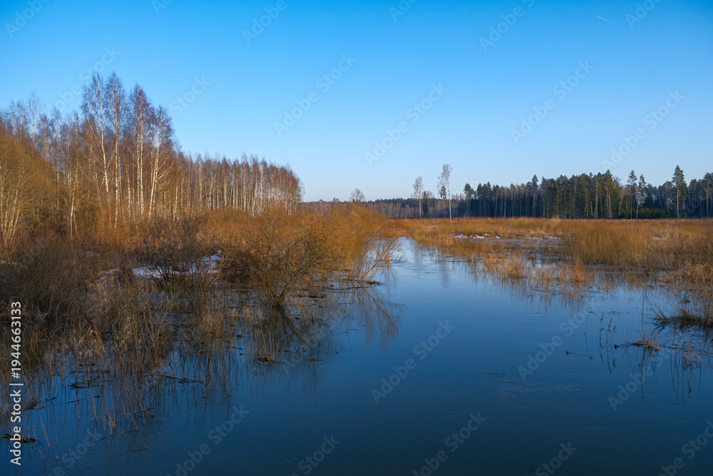 Obraz premium spring floods after snow melting in forest river in Latvia