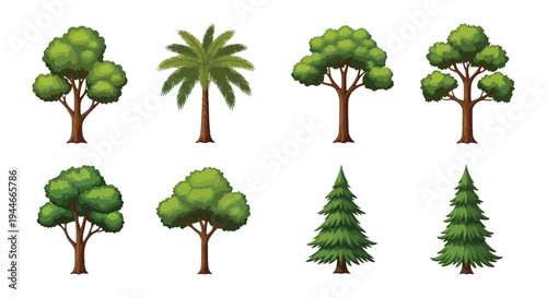 An assortment of vector graphic tree illustrations showcasing different species for natural landscape designs.
