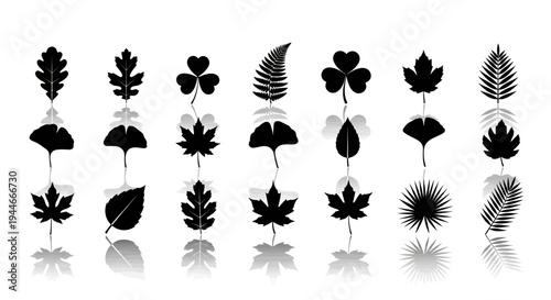 Assorted stylized black and white leaf silhouettes in a grid formation