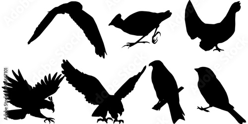 Hen or Chicken, rooster and chicks silhouette set. hen, rooster and chicks isolated farm animal silhouette icon vector collection.