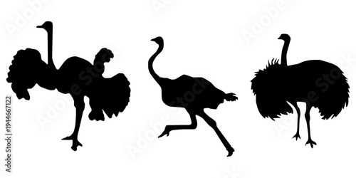 Hen or Chicken, rooster and chicks silhouette set. hen, rooster and chicks isolated farm animal silhouette icon vector collection.