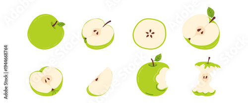 Big vector set of green apples: whole apple, halves, cross section, slices, segment and bitten apple with core. Collection of fresh, healthy apples for autumn harvest, school design, culinary themes