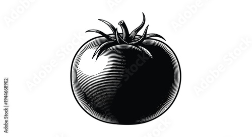 Gym equipment and silhouetted figures exercising in black and white