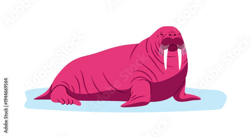 Whimsical Pink Walrus on Ice Floe - Cute Arctic Animal Illustration