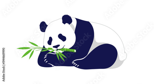 Giant Panda eating bamboo, isolated on white background