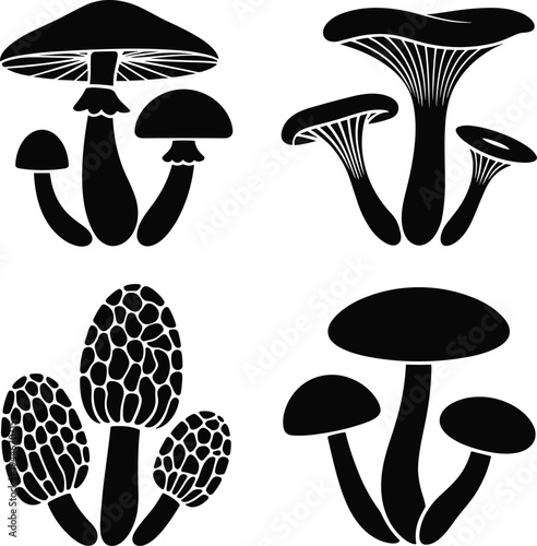 Four Different Types of Black and White Mushrooms in Silhouette Style fungi nature de