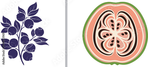 A deep purple botanical branch of blueberries with elegant leaves, paired with a stylized cross-section of a pink guava featuring swirling patterns and black seeds.
