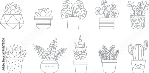 Collection of ten cute black and white outline illustrations depicting various potted houseplants and succulents for coloring pages
