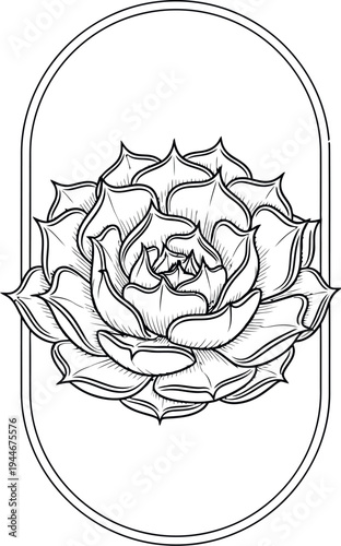Elegant black and white line art illustration of a detailed succulent plant centered within a modern vertical oval frame design element
