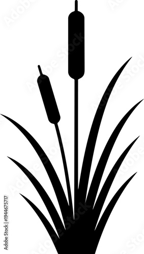 Bulrush Silhouette Variation Vector