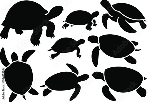Flat vector illustration of turtle silhouettes, tortoise icons, animal shapes, reptile design, wildlife symbols, shell patterns, nature elements, biology graphics