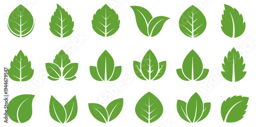 Illustration of Green leaf icons set