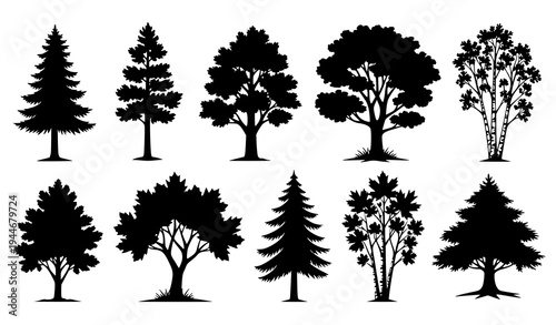 Forest Tree Silhouette Vector Nature Illustration Collection