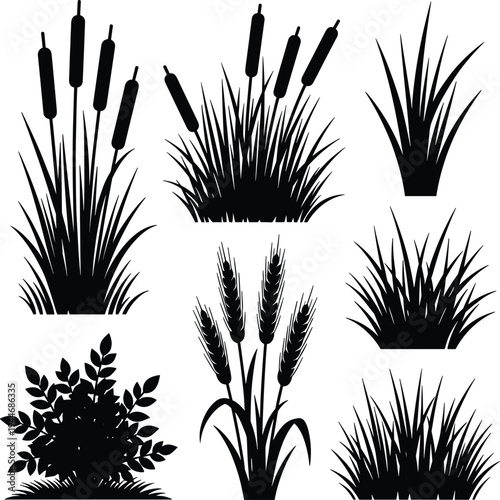 Collection of cattail reeds wild grass and bush silhouettes isolated on white background wetland plants botanical vector illustration set