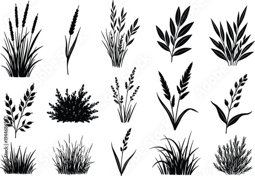 Collection of wild grass leaf and plant silhouettes isolated on white background botanical vegetation vector illustration set for nature design