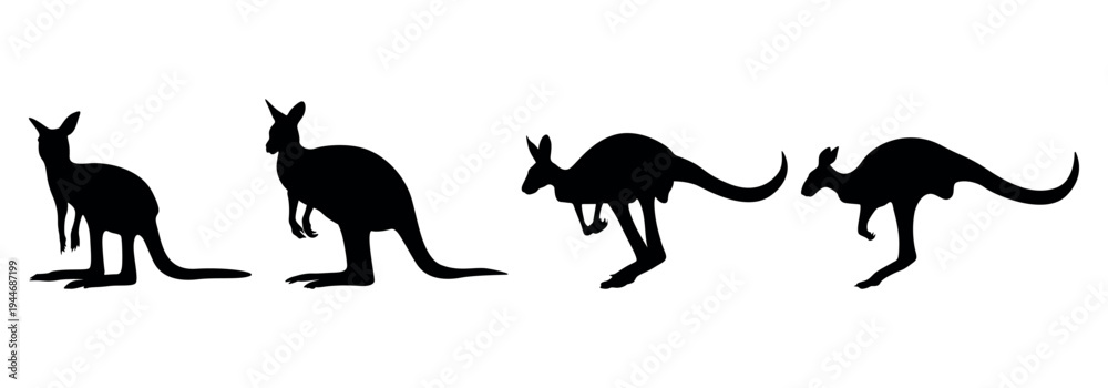 Fototapeta premium kangaroo silhouette vector. kangaroo silhouette vector illustration. silhouette of a kangaroo