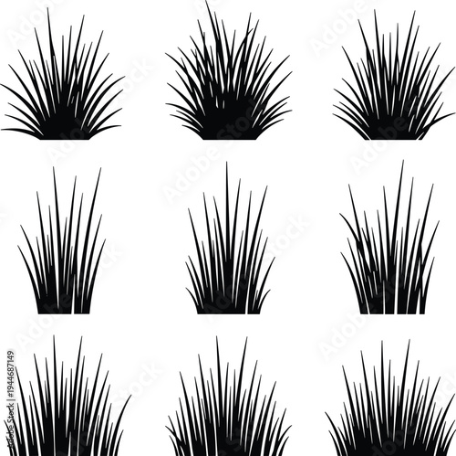 Set of wild grass bush silhouettes isolated on white background natural meadow vegetation botanical vector illustration collection for design
