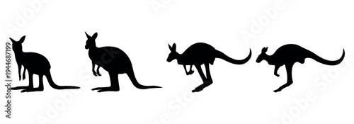 kangaroo silhouette vector. kangaroo silhouette vector illustration. silhouette of a kangaroo