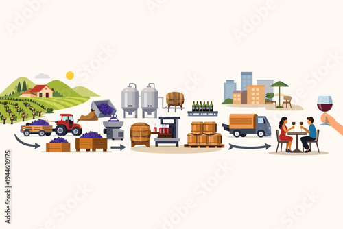 Vector Illustration of the Wine Production Process from Grape Harvesting in Vineyards to Fermentation, Bottling, Distribution by Truck, and Final Consumption at a Restaurant Table Infographic.
