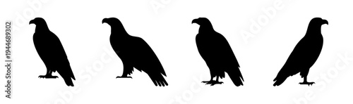 Set of 4 black crow silhouettes vector