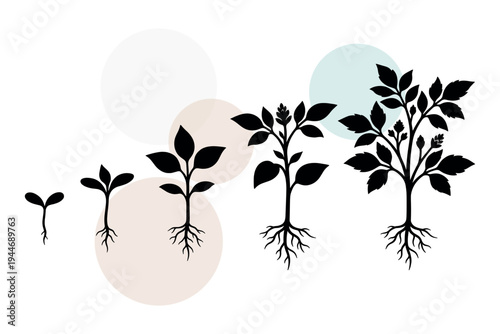 Vector set of botanical life cycle stages featuring root systems and leaf development. Organic sprout evolution icons for gardening and biology education vector illustration design.