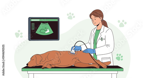 Veterinarian Performing Ultrasound on Dog, Diagnostic Imaging, Animal Health Care