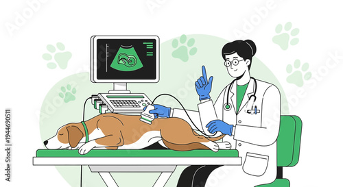 Veterinarian performing ultrasound on dog, displaying image on monitor
