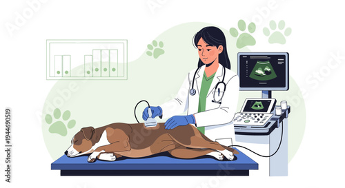 Veterinarian Performing Ultrasound on Dog, Diagnostic Imaging, Pet Care