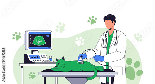 Veterinarian Performing Ultrasound on Green Cat, Medical Diagnosis, Animal Healthcare