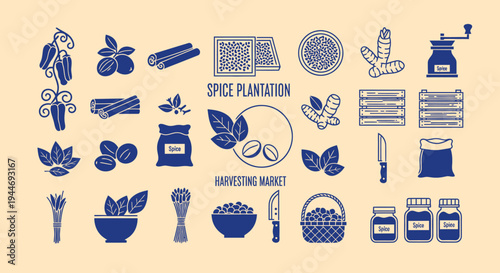Spice Plantation Harvest: Coffee Beans, Cinnamon, Turmeric, Ginger, Herbs - Vector Icons