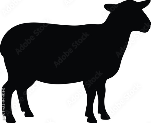 Silhouette of a standing sheep with thick woolly coat