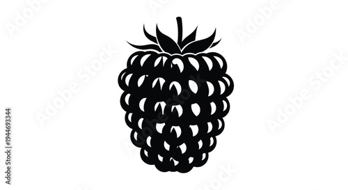 Detailed black raspberry illustration with a striking silhouette