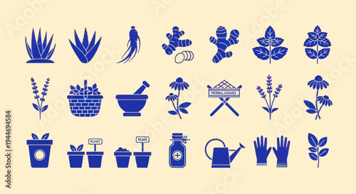 Herbal Medicine Icons: Aloe Vera, Ginseng, Ginger, Lavender, Echinacea, Mortar, Plants