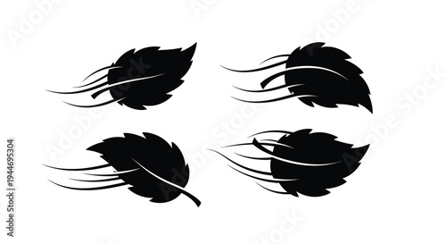 Four abstract leaf shapes with flowing lines a striking silhouette