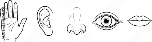 Five senses icons, human sensory organs, touch ear nose eye lips, black white outline illustration, perception symbols, minimal vector abstract design