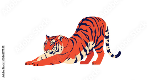 Orange Tiger Stretching with Black Stripes on White Background, Flat Design