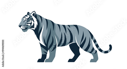 Tiger Illustration Side View Walking Animal.
