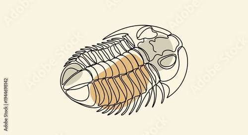 Trilobite Fossil Illustration Detailed Drawing Ancient Arthropod.