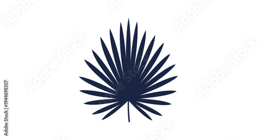 Dark Blue Palm Frond Isolated on White.