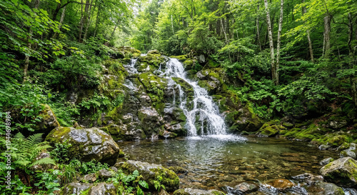 Forest Waterfall Cascading Over Mossy Rocks into Clear Pool
