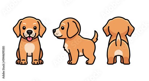 Cute Golden Retriever Puppy Cartoon Character Set, Front Side and Back Views, Flat Vector Illustration of a Labrador Puppy Isolated on White Background